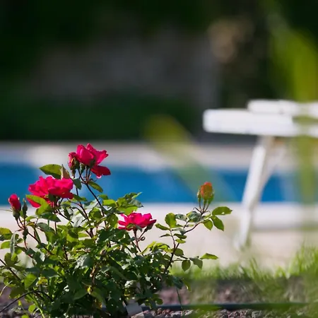 Masseria Trullo Sovrano Exclusive Cisternino