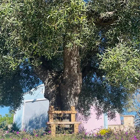 Masseria Trullo Sovrano Exclusive