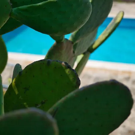 Masseria Trullo Sovrano Exclusive 4*