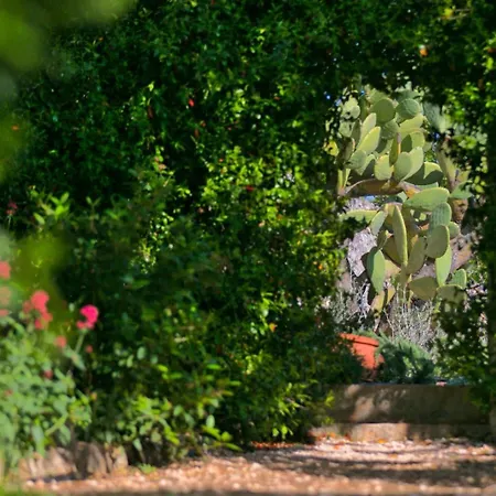 Masseria Trullo Sovrano Exclusive