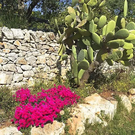 Bed & Breakfast Masseria Trullo Sovrano Exclusive